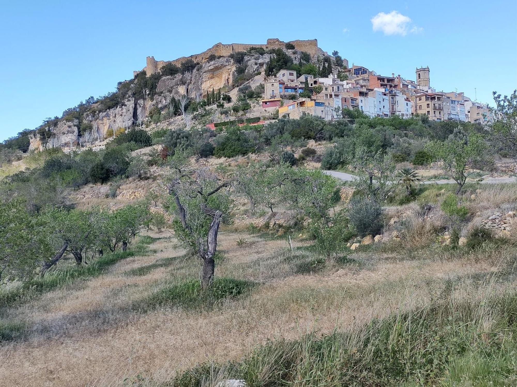 Tranquil And Spacious Townhouse In Historical And Picturesque Cervera Del Maestre Екстер'єр фото